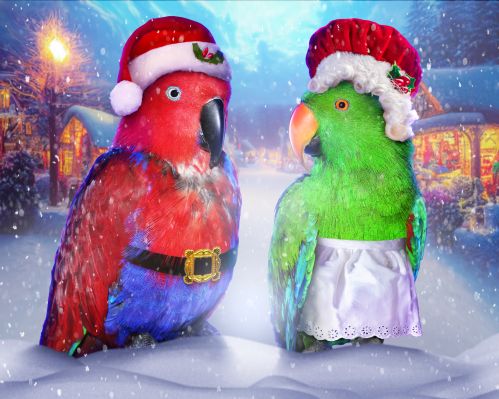 Christmas village parrotss.jpg